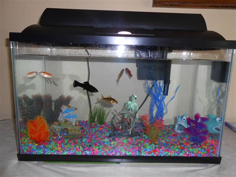 what fish can live in a 10 gallon tank